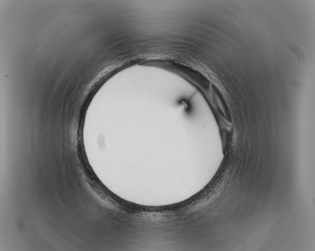 X0000112430530200909251539