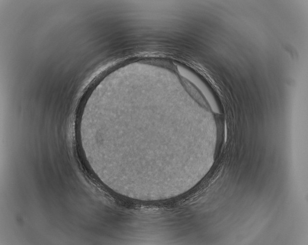 X0000112430531200909251539