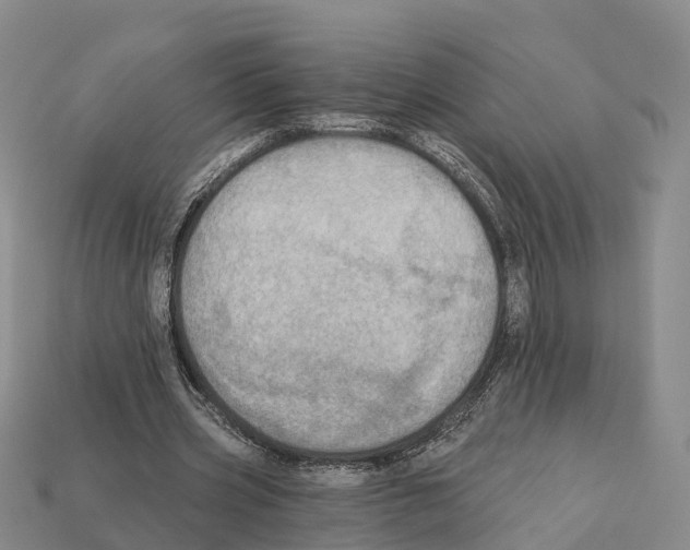 X0000112430533200909251539