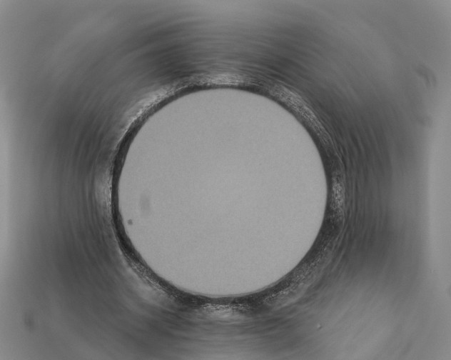 X0000112430534200909251539