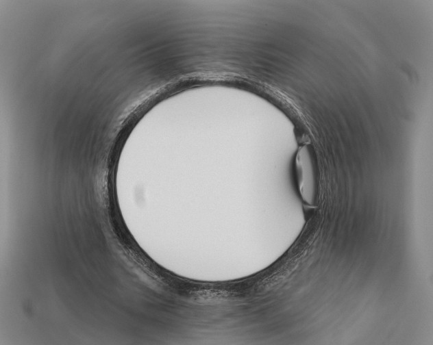 X0000112430535200909251539