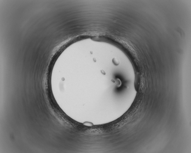 X0000112430536200909251539