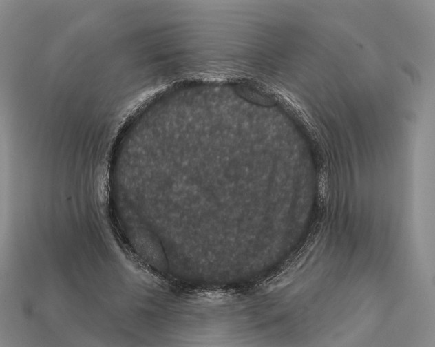X0000112430540200909251539