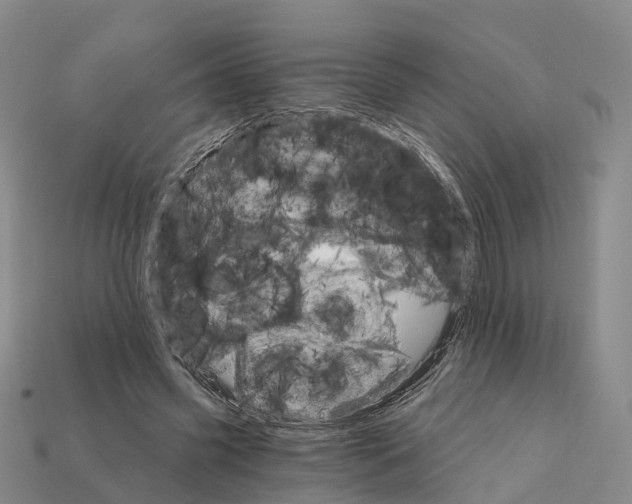 X0000112430541200909251539