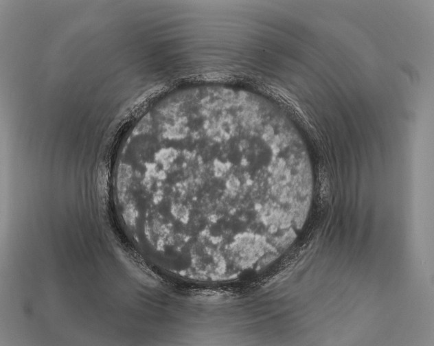 X0000112430542200909251539