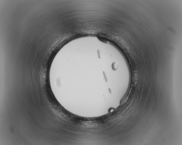 X0000112430544200909251539