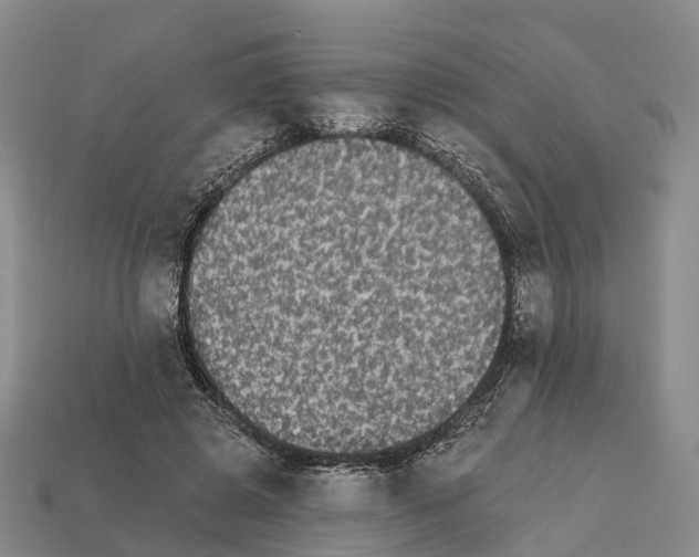 X0000112430545200909251539