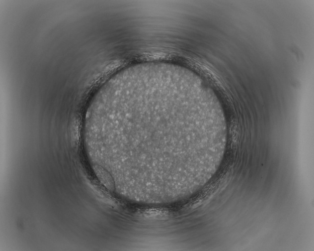 X0000112430546200909251539