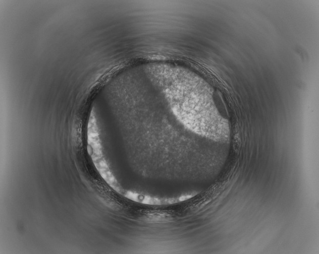 X0000112430547200909251539