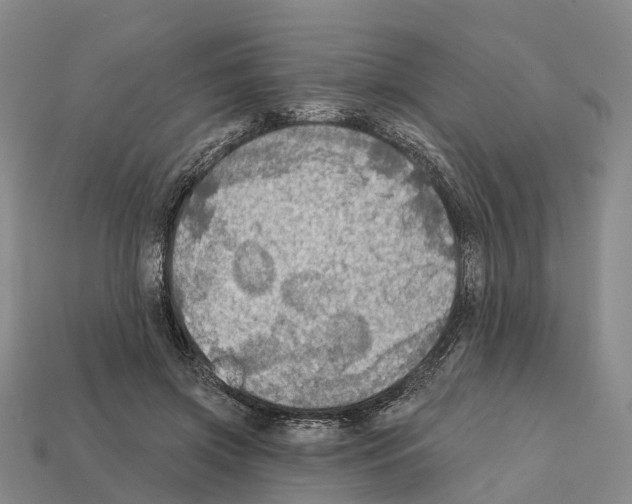 X0000112430549200909251539