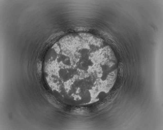 X0000112430550200909251539