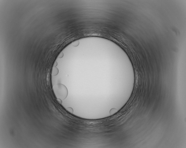 X0000112430551200909251539