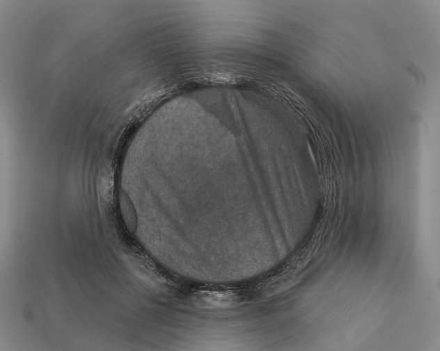 X0000112430552200909251539