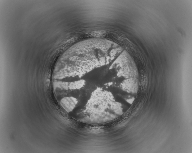 X0000112430553200909251539