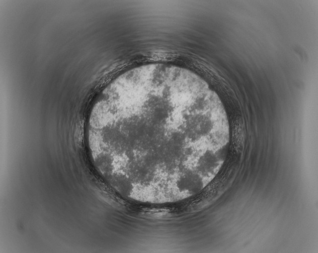 X0000112430554200909251539