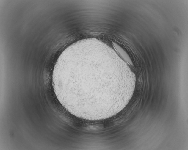 X0000112430555200909251539
