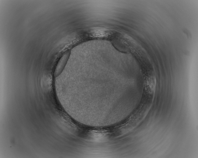 X0000112430556200909251539