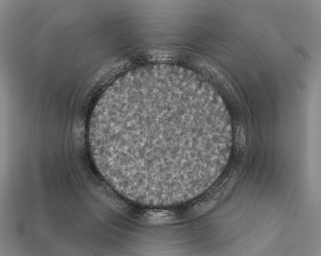 X0000112430557200909251539