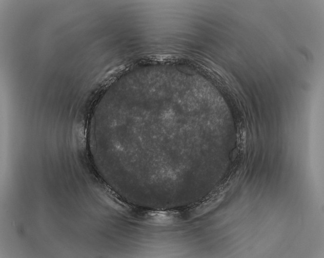 X0000112430558200909251539