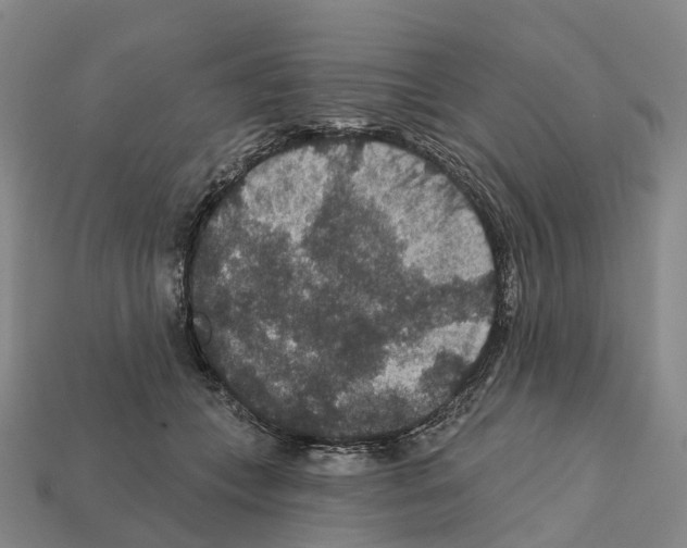 X0000112430559200909251539