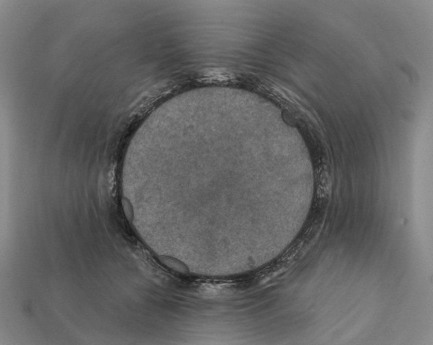 X0000112430560200909251539