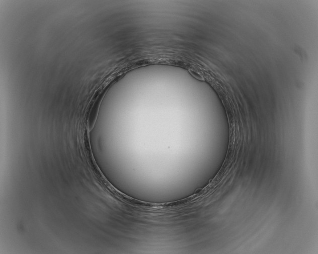 X0000112430562200909251539