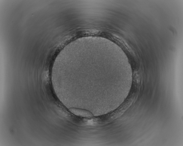 X0000112430564200909251539