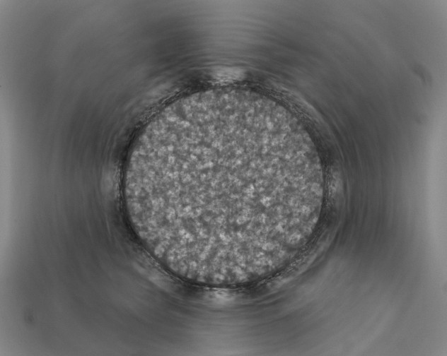 X0000112430565200909251539