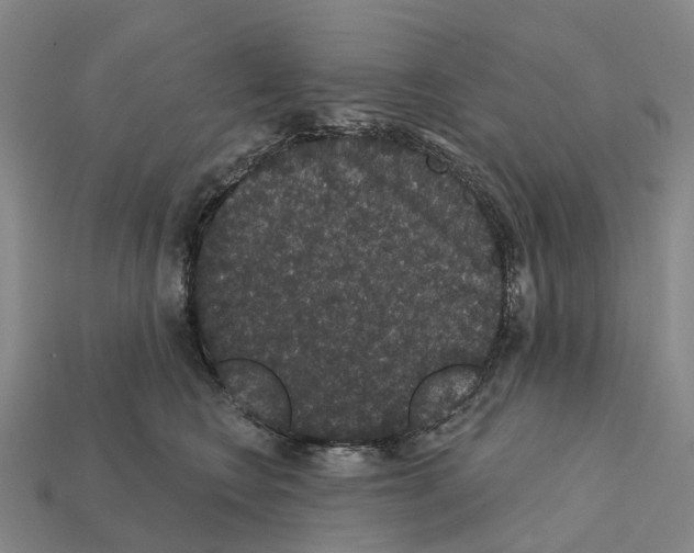 X0000112430566200909251539