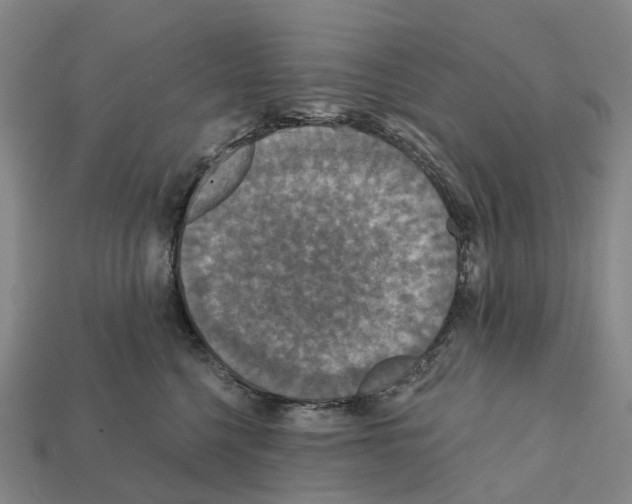 X0000112430568200909251539