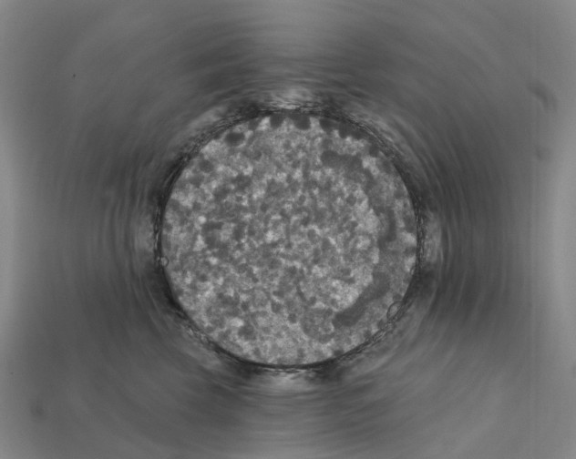 X0000112430569200909251539