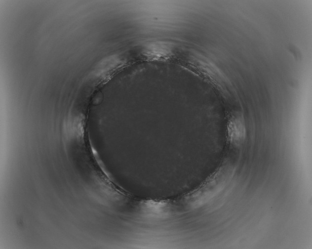 X0000112430570200909251539