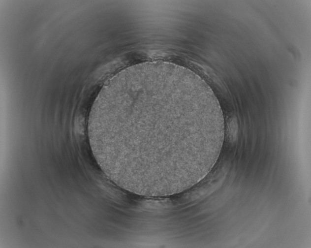 X0000112430571200909251539
