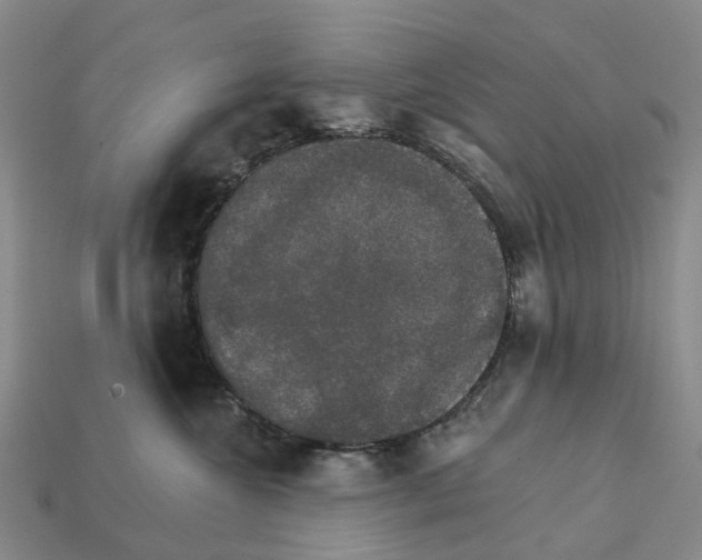 X0000112430572200909251539