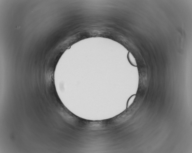 X0000112430574200909251539