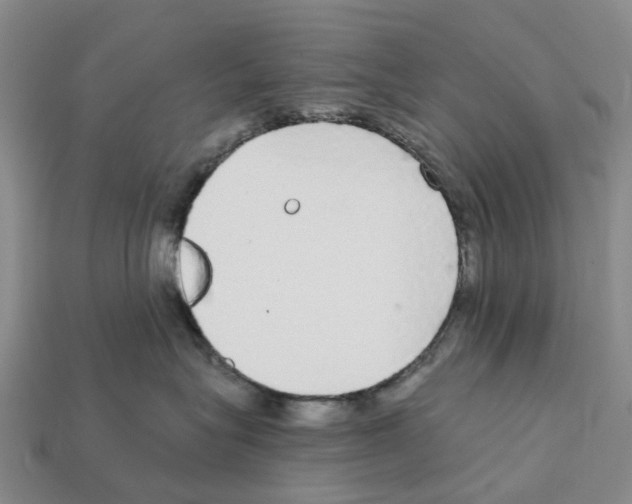 X0000112430575200909251539