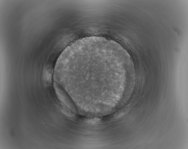 X0000112430576200909251539