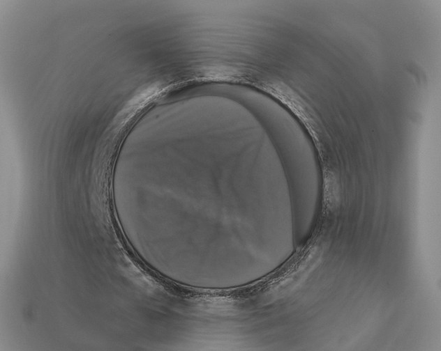 X0000112430577200909251539