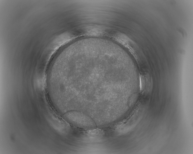 X0000112430579200909251539