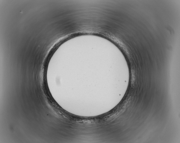 X0000112430580200909251539