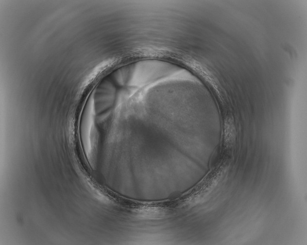 X0000112430581200909251539