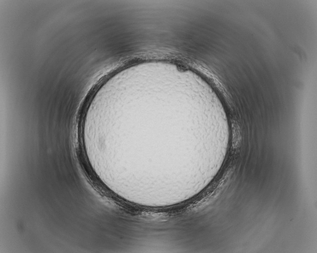 X0000112430582200909251539