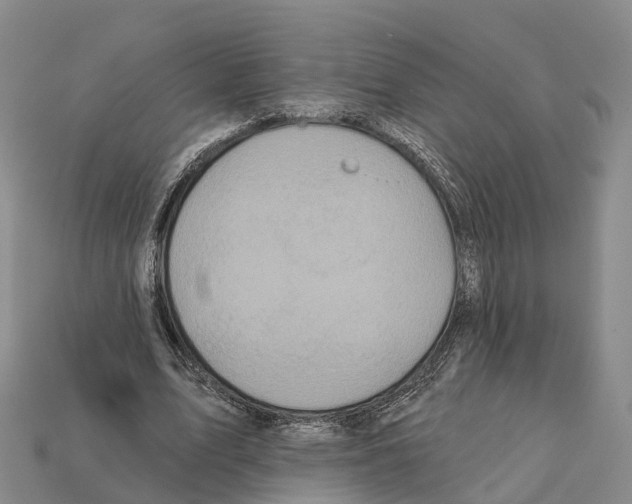 X0000112430583200909251539