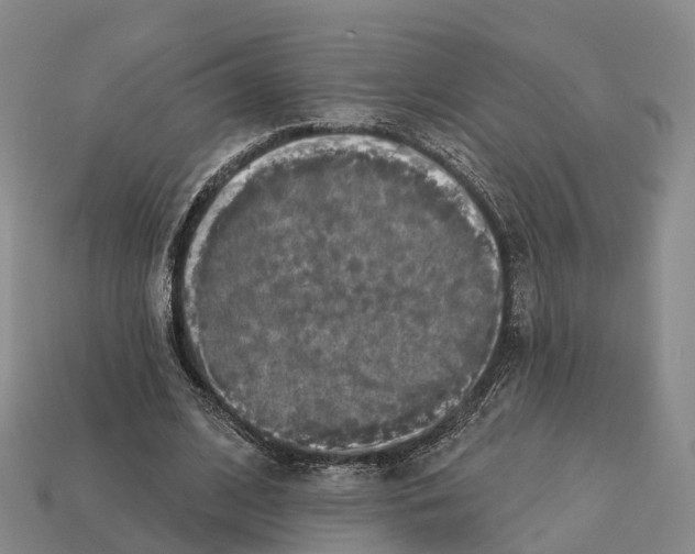 X0000112430584200909251539