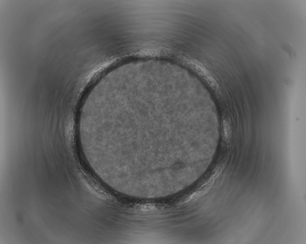 X0000112430588200909251539