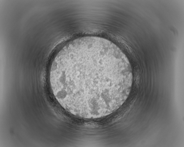 X0000112430591200909251538
