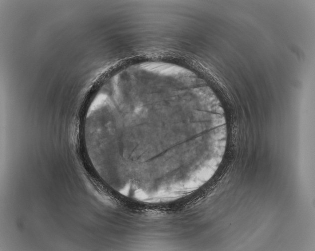 X0000112430592200909251538
