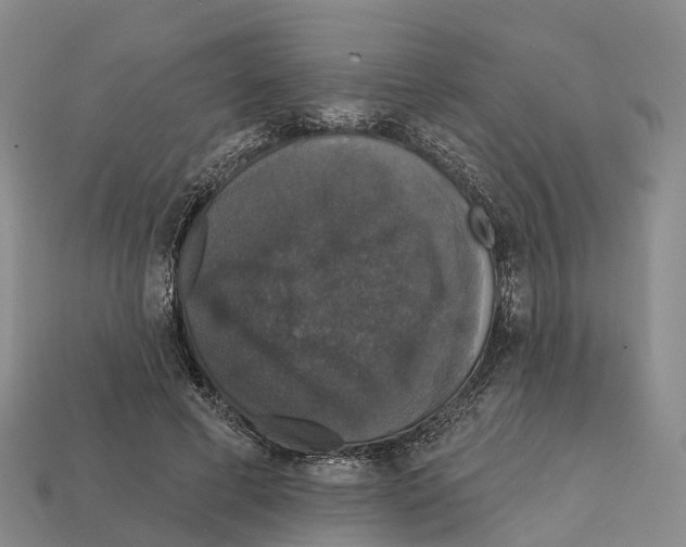 X0000112430593200909251538
