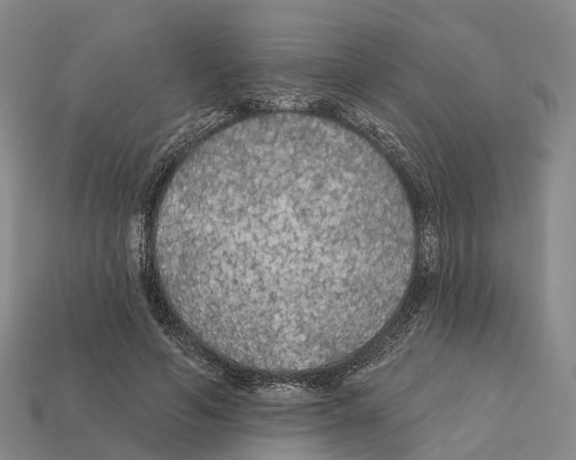 X0000112430594200909251538