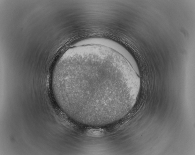 X0000112430595200909251538